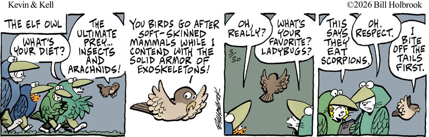 Comic Strip